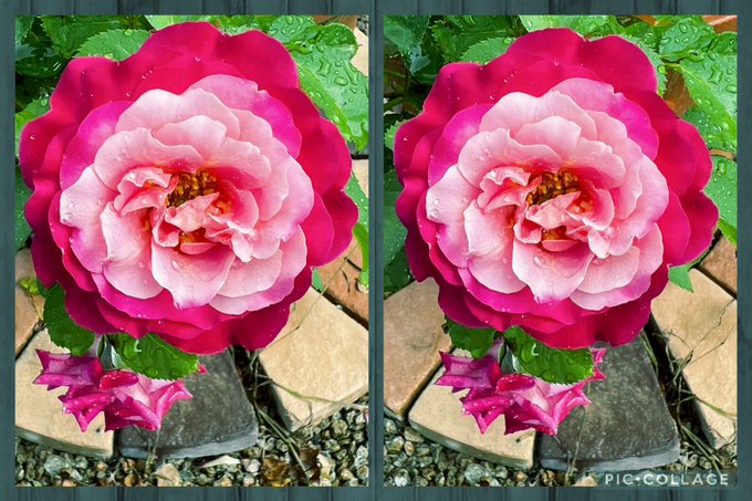 Tweets Populaires藤田重信 7 Whotwi Analyse Graphique Twitter