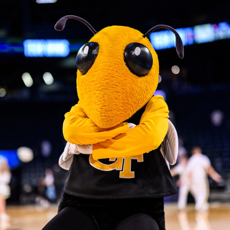 GTAthletics's tweet photo. For the third-straight year, the Yellow Jackets finished the year with a top-70 finish in the @LDirectorsCup 🐝

Prior to 2018-19, Georgia Tech had not finished in the top-70 since 2010-11📈 

#TogetherWeSwarm