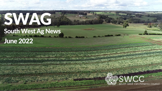 ag_southwestnrm's tweet photo. Ok, it's a bit late, but worth the wait! Our June newsletter with a focus on the SW WA Drought Hub, and innovation-Manjimup style.  https://t.co/dMbwqnVgOc @GGA_WA #FutureDroughtFund https://t.co/6dfORwhNSu