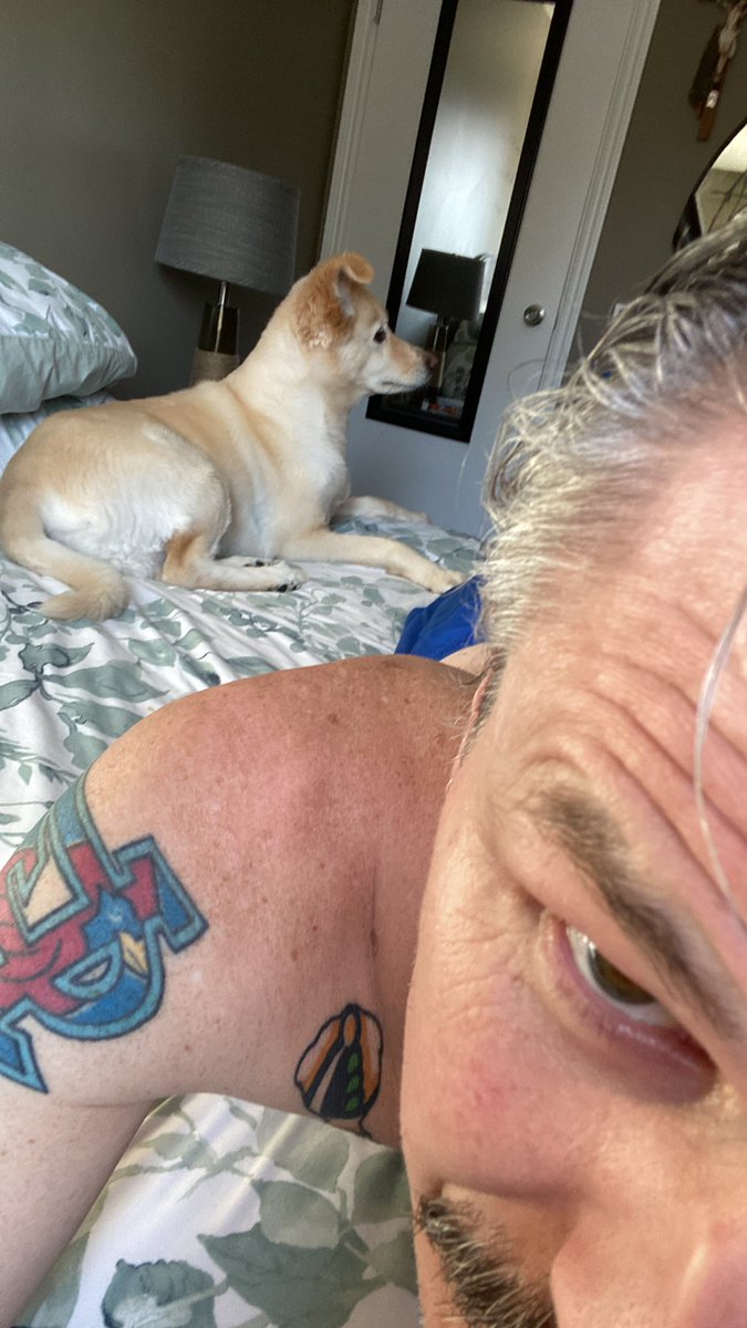 rogerapage's tweet photo. Moments after this photo was taken, #DirtyBenny jumped up and started dancing the Macarena #ShitYouNot 😂😂😂 https://t.co/nB8SSziRgp