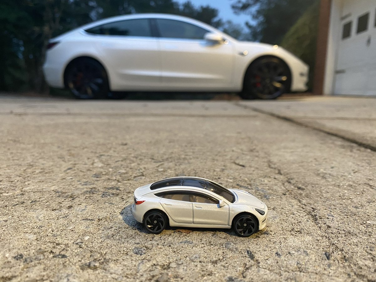 COLETHEMAN tweet media