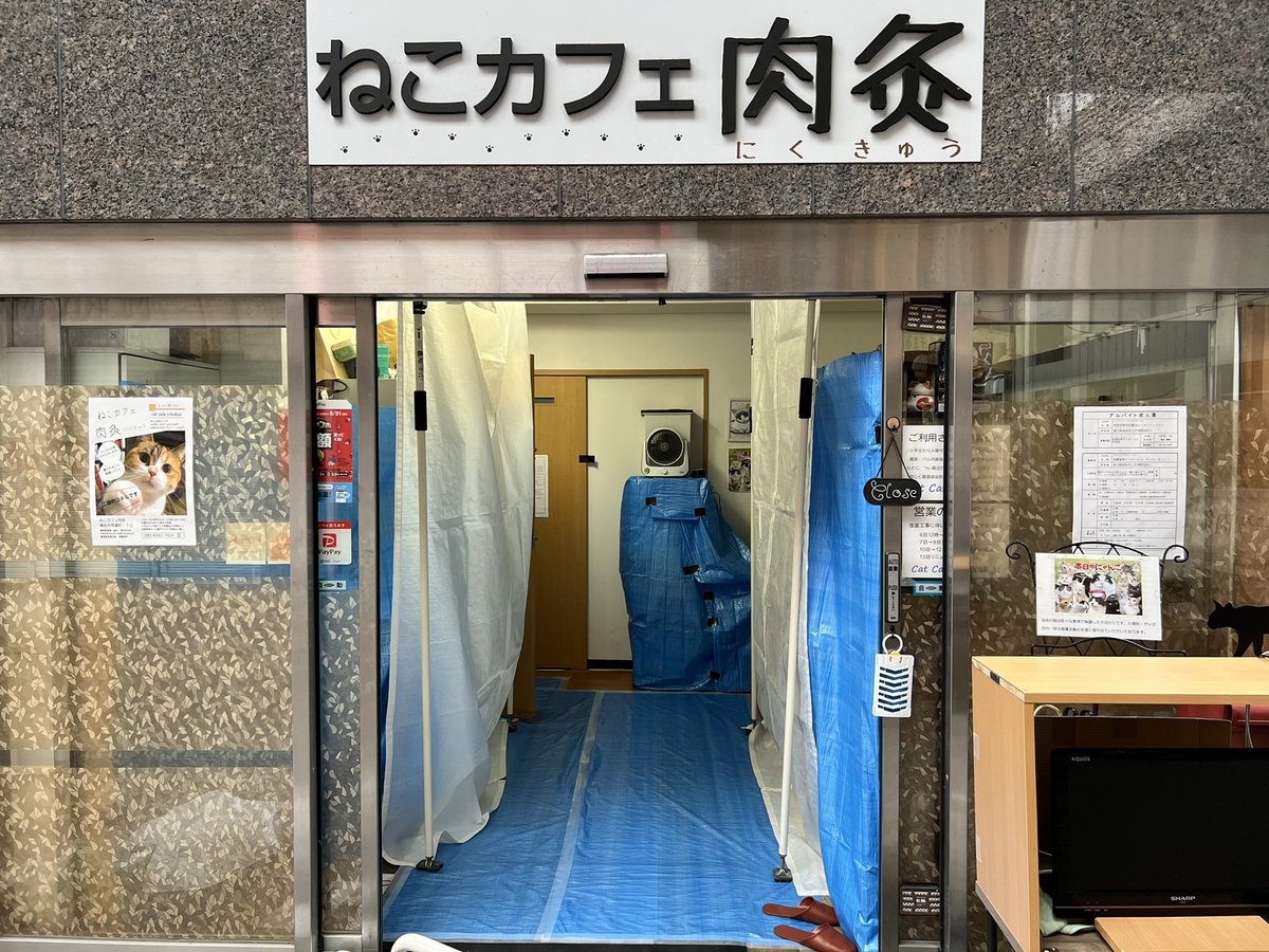 ねこカフェ肉灸 香川県 高松市 猫カフェ Nikukyu0703 Twitter ねこカフェ肉灸 香川県 高松市 猫カフェ Nikukyu0703 Twitter