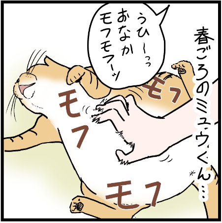 飼い主にはご褒美です!笑
 #ニャンコ #まんが #猫 #猫あるある #猫漫画 #ペット #飼い主 #エッセイ漫画 #キャット #ねこのいる生活 #4コマ 