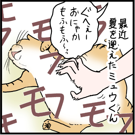 飼い主にはご褒美です!笑
 #ニャンコ #まんが #猫 #猫あるある #猫漫画 #ペット #飼い主 #エッセイ漫画 #キャット #ねこのいる生活 #4コマ 