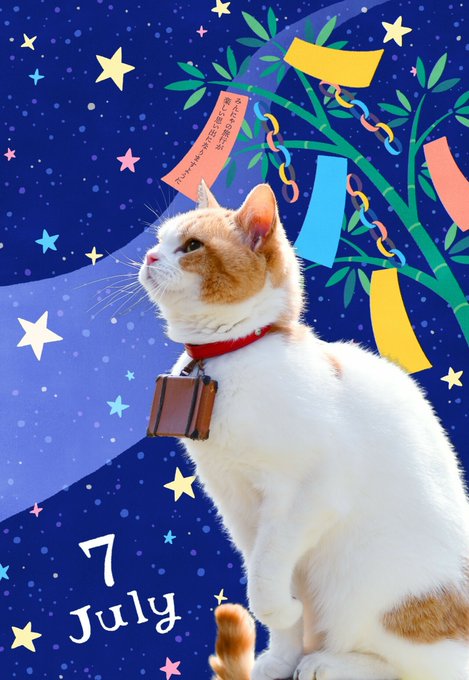 猫飯 社畜のすがた 10 22 23 28 さん がハッシュタグ にゃらん をつけたツイート一覧 1 Whotwi グラフィカルtwitter分析