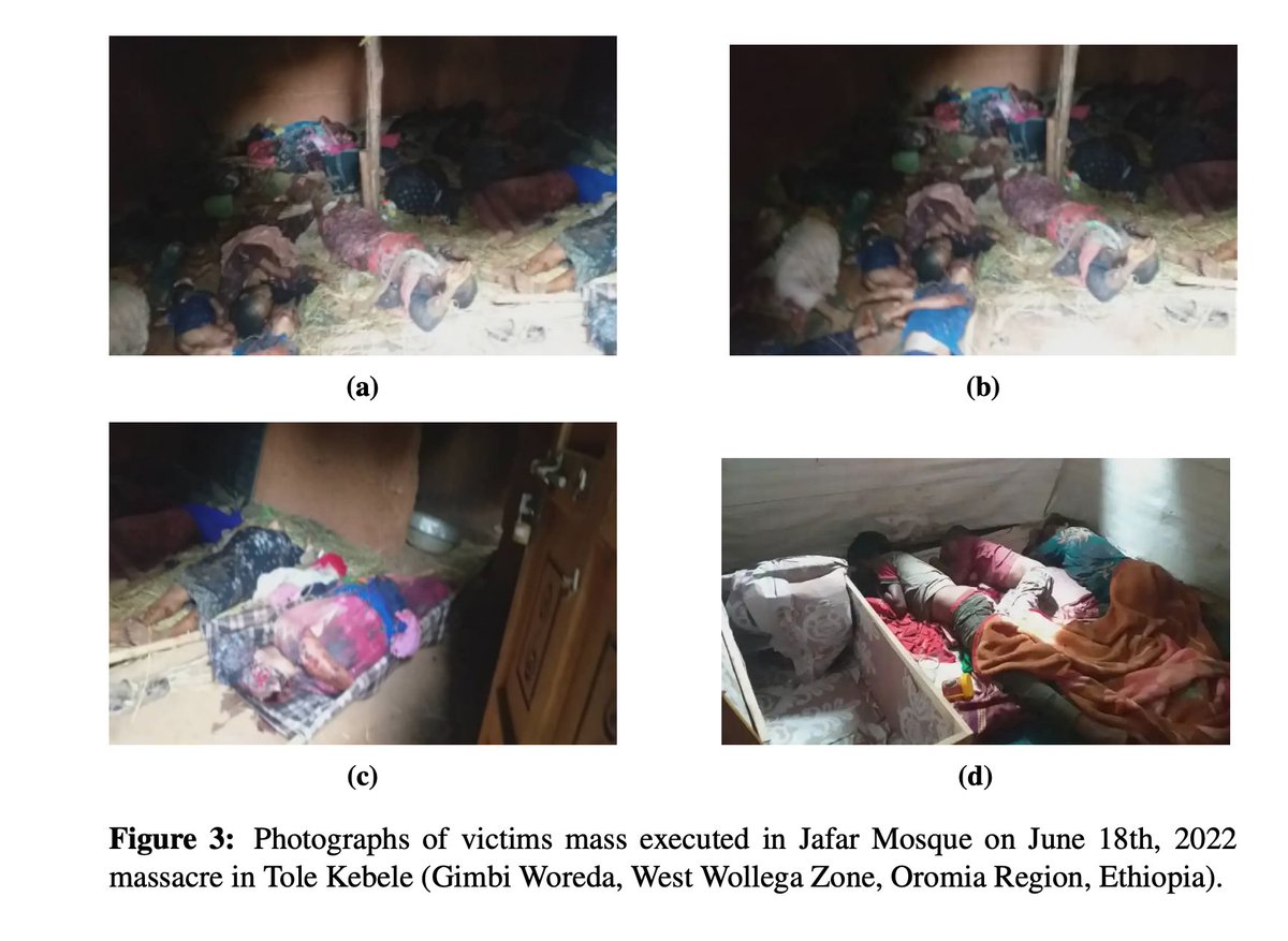 GPEthiopia's tweet photo. [Jafar Mosque]
One witness described the unspeakable horror of his time telling AAA the following:
“At the moment I with others arrived at the mosque (Jafar Mosque), we saw a large number of people reaped off like cereal. It was hard to speak. They (OLA) executed them with https://t.co/Hm14KIxBVc