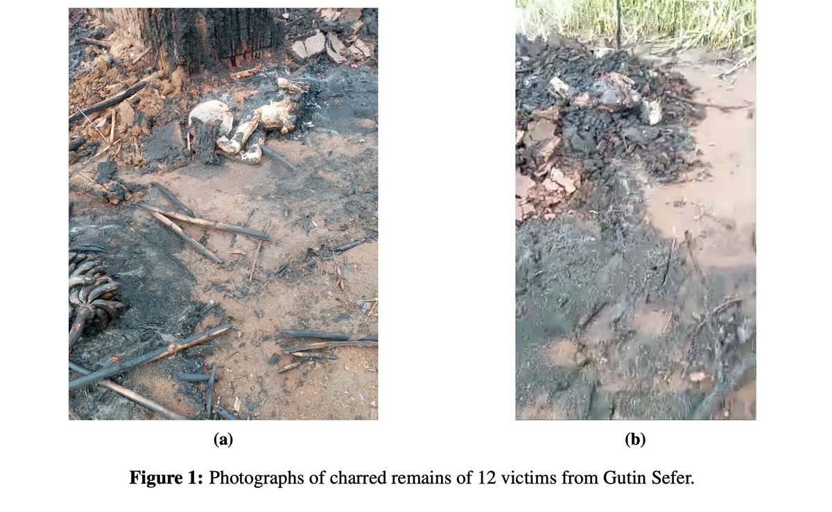 GPEthiopia's tweet photo. Eye Witness Accounts from June 18th #GimbiMassacre as highlighted by @AAA_Amhara. 
⚠️TW⚠️
[Gutin Village]
"While the victims were inside the hut the militants arrived and surrounded the hut. They then set fire
to the hut while the victims inside were crying https://t.co/DEUUWq6fsi