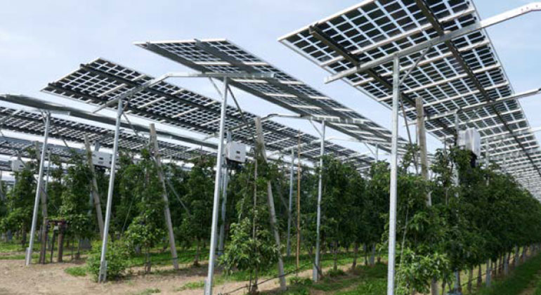 Neu entwickelte AgriPV Anlagen liefern hohe doppelte Erträge bei Kosten im Bereich von PV Freiflächenanlagen dlvr.it/STT6kx