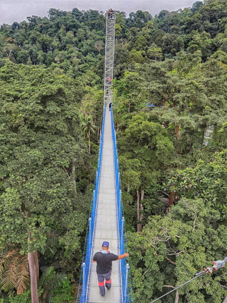 JalanCutiSantai's tweet photo. Tempat terbaru utk beriadah santai di Frim, Kepong

Kepong Frim Forest Skywalk

Wah bestnya dapat beriadah dekat sini, Skywalk ni dekat kepong je, harga masuk ke skywalk bermula serendah RM15. 

📍Kepong Botanic Gardens, 52109 Selangor, Malaysia https://t.co/1S2cYNS98z