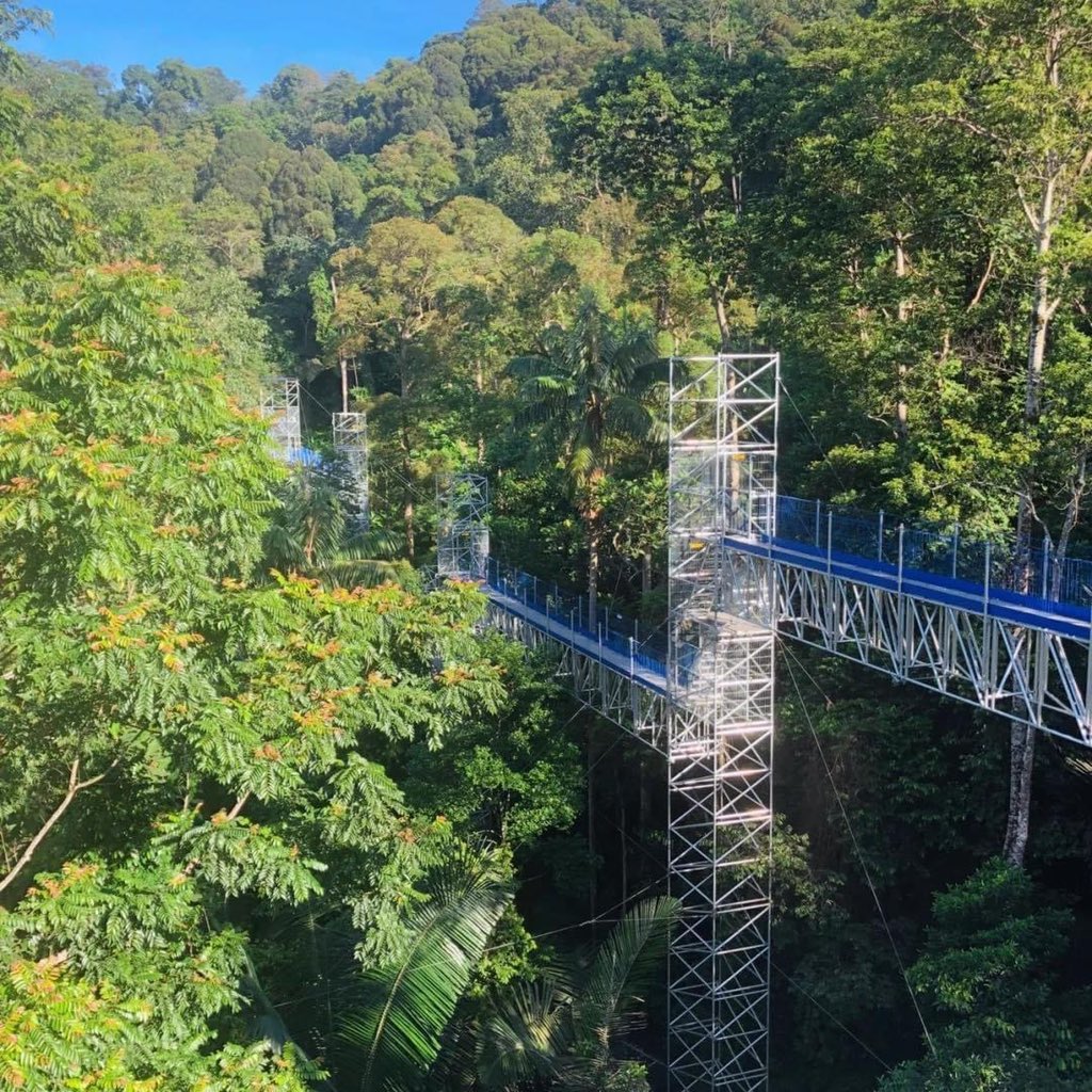 JalanCutiSantai's tweet photo. Tempat terbaru utk beriadah santai di Frim, Kepong

Kepong Frim Forest Skywalk

Wah bestnya dapat beriadah dekat sini, Skywalk ni dekat kepong je, harga masuk ke skywalk bermula serendah RM15. 

📍Kepong Botanic Gardens, 52109 Selangor, Malaysia https://t.co/1S2cYNS98z