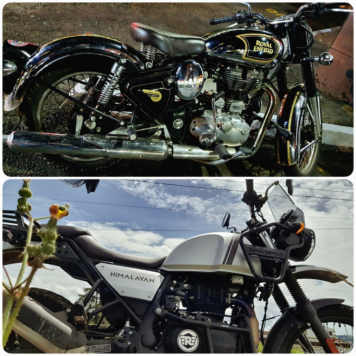JSierraPiano's tweet photo. ... Rolling... #royalenfield #classic500 #himalayan https://t.co/XXRABELgK1