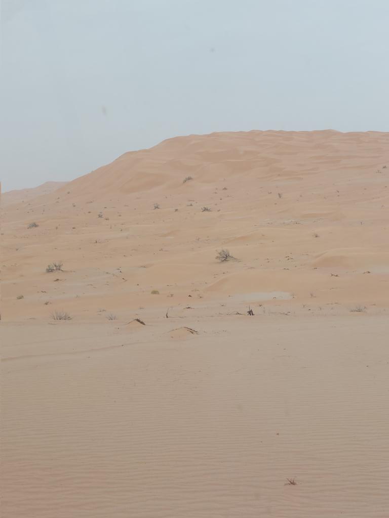 هذه بعض لقطات رمال الامتداد الغربي من سلطنة عمان تعطي النفس بهجتها وينعكس لك جمال طبيعتها... ..