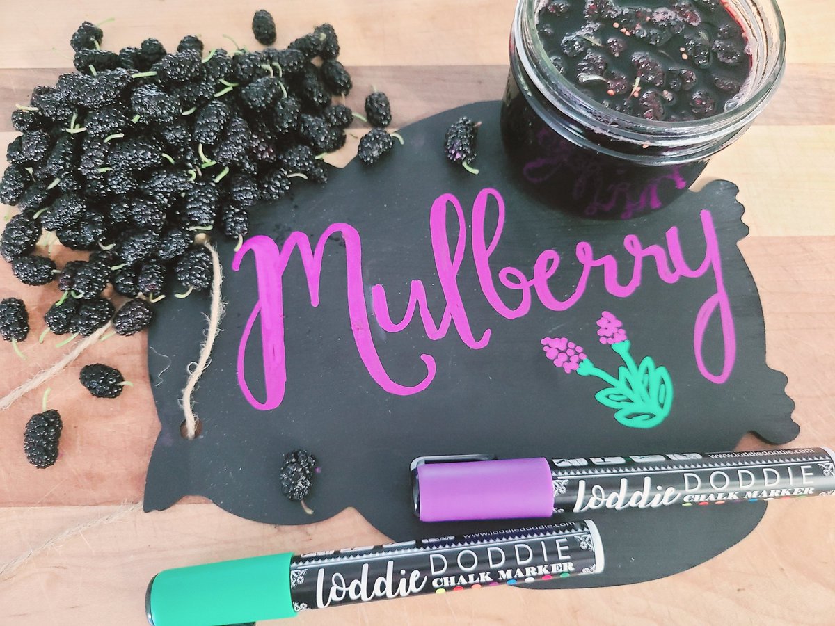 tararobin77's tweet photo. What I do with my time off. Mulberries from our tree are now a cocktail. Mulberry Sour 🍹🍸 https://t.co/GXHWc0tJv6