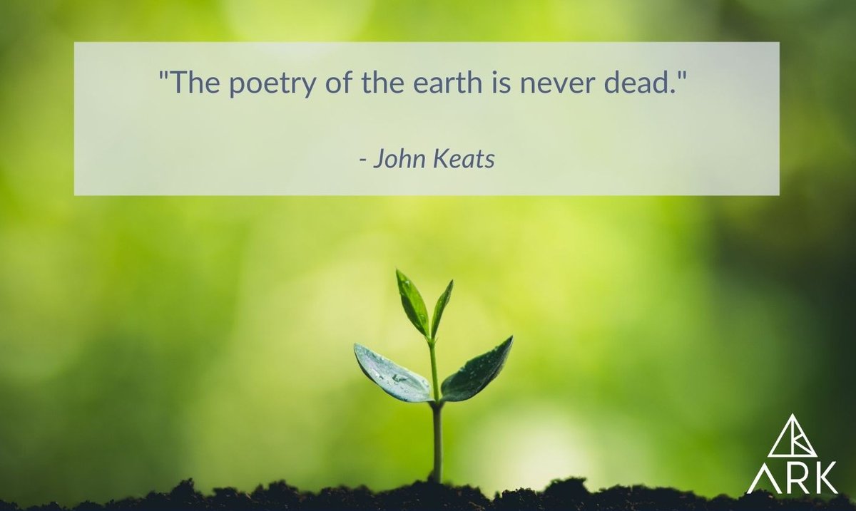 "The poetry of the earth is never dead." - John Keats

ARKcrystals.com