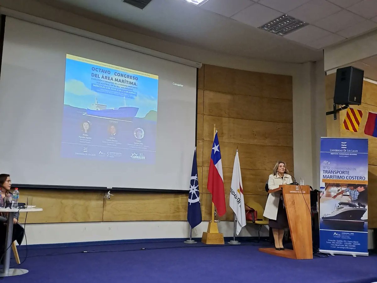 Botes Salvavidas Puerto Montt tweet media