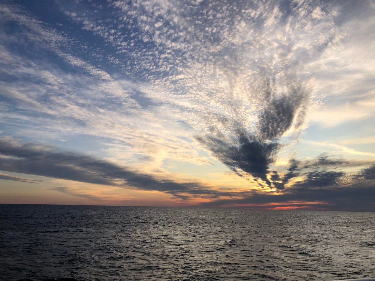 EliseBuller's tweet photo. And just like that its already over! I had the most incredible time on the #RVInvestigator for 5 1/2 weeks! We did some awesome science and had a ball! Thank you to the ship and @CSIRO crew as well as the amazing science team for an amazing time onboard! https://t.co/PFlOK2miBk