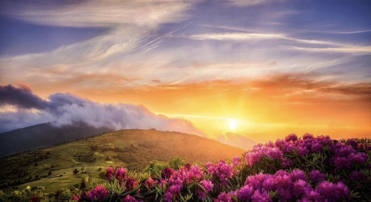 Good morning Thursday Dear Twitter Friends