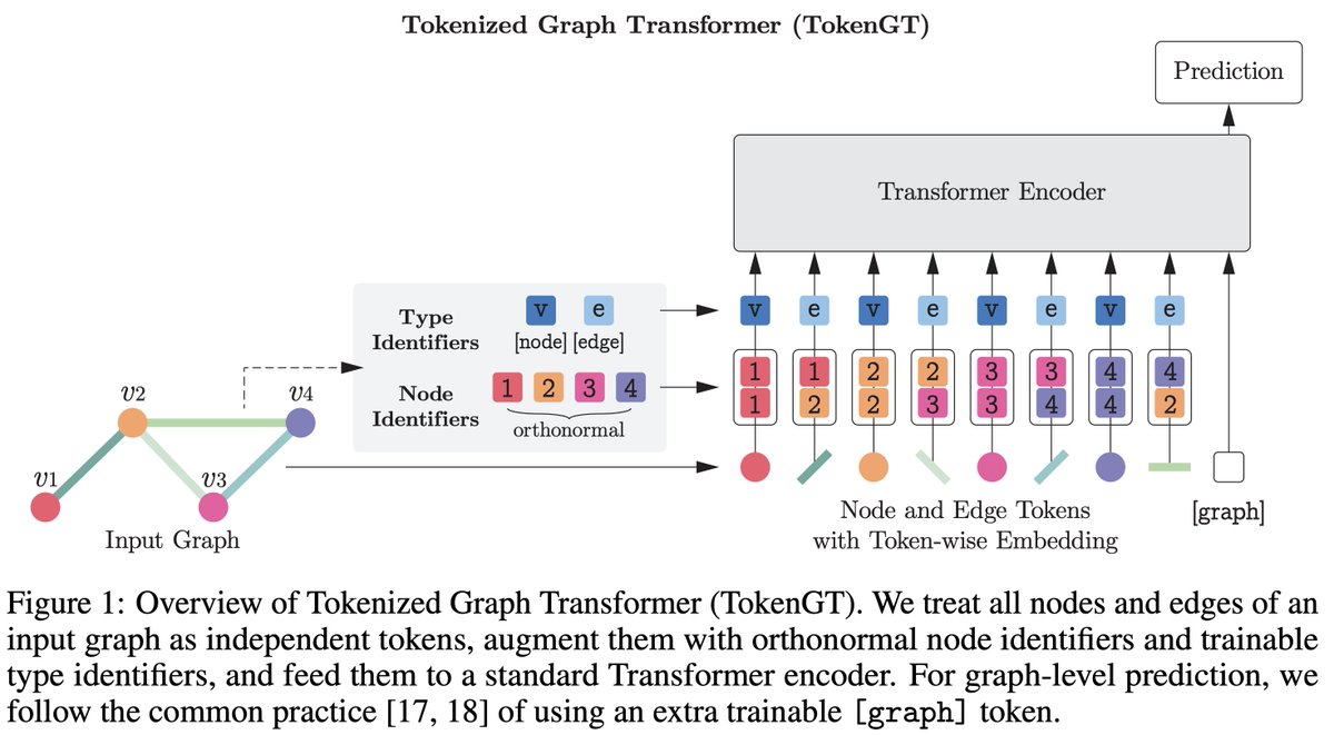 jw9730's tweet image. New preprint on Graph Transformers! We show that a vanilla Transformer on nodes and edges becomes a powerful graph learner (in both theory and practice) if simple auxiliary input embeddings are provided. We call this Tokenized Graph Transformer (TokenGT).
arxiv.org/abs/2207.02505