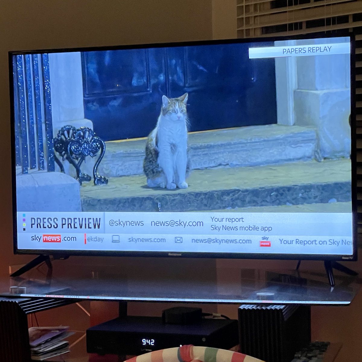 TedNesi's tweet image. .@KimKalunian and I are watching UK news coverage of the political crisis... and the cat just came out of 10 Downing St. during a live shot 

If even the cat has resigned, I don't think the prime minister can survive