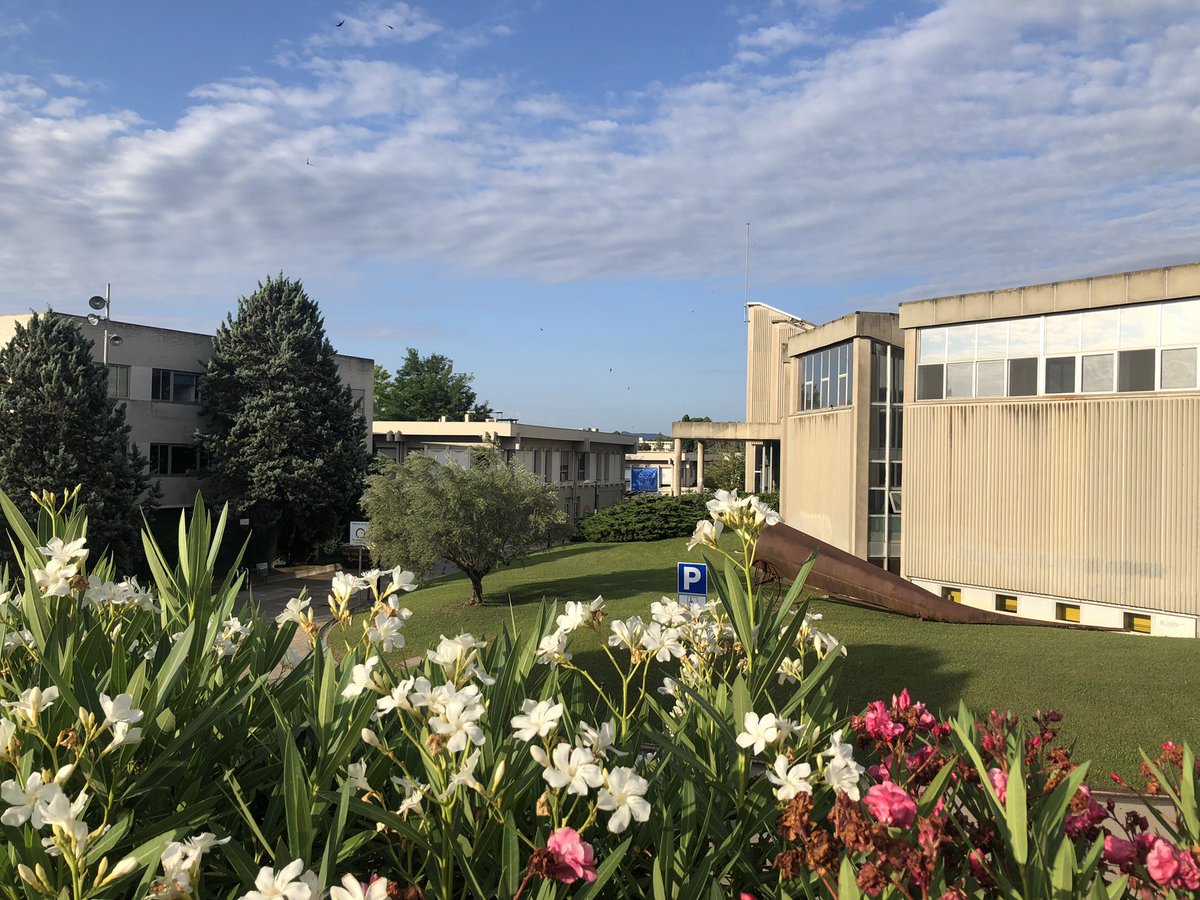 Euroboron9's tweet photo. Last day at #EuroBoron9 #EuroBoron2022 on #boronchemistry at @UABBarcelona #Barcelona. Today we will know the winners of student contest and posters 🥇🥈🥉

@icmabCSIC @UABcampus @grupric 

🔗➡️ https://t.co/ATWZfE2mtW https://t.co/DWzEqh6KwV