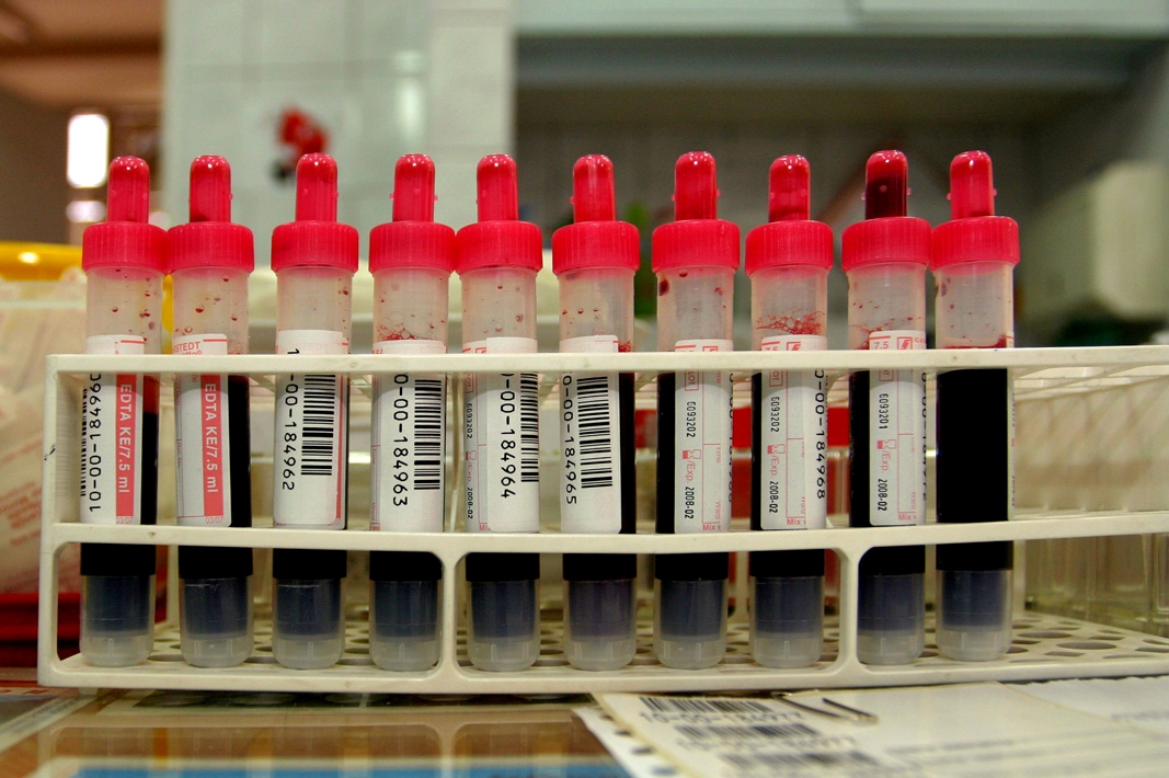 Título 100% Oficial. FORMACIÓN PROFESIONAL Presencial o a distancia 👉 fpcorredor.com/actualidad