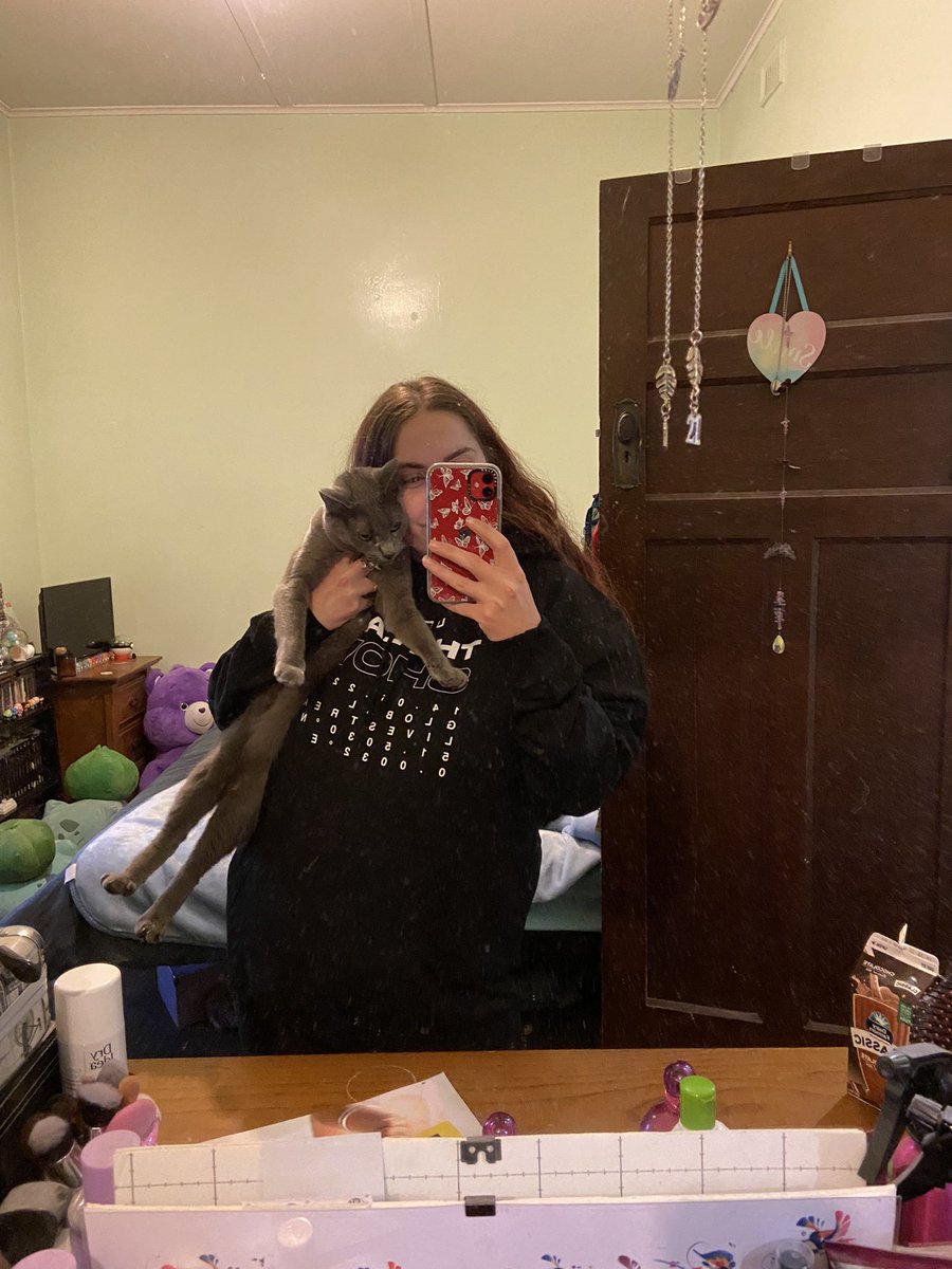 bibblybubblybow's tweet photo. I got my ‘The Last Show… For Now’ hoodie! My cat wanted to join in on the photos too!! #LittleMix #LittleMixLastShow https://t.co/faQoMC7ZX5