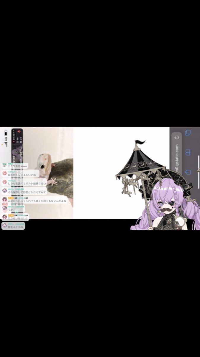 miya4786's tweet photo. やみせさんの配信で佐賀県捨て垢で現れる⁉️
その後直ぐにアカウント消去🤣
佐賀県さんやみせさんに顔ディスされる😺
【裏情報がありましたら！dmに送って来てくださいお願いします🙇‍♀️】
#やみせ  #佐賀県 #ミラティブ #顔ディス  #喧嘩界隈 https://t.co/MD8j7IOh6l