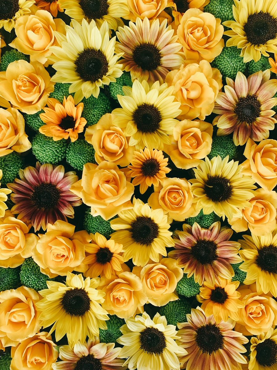 gyoda_kankou's tweet photo. ぶらっと♪ぎょうだの ＃花手水 が新しくなりました🌻
3種類のひまわり、スプレーバラ、ポンポンマムを使った黄色で統一された、夏らしい花手水になっています✨
また、ぶらっと♪の店頭には、風鈴が飾られています🎐
風になびく風鈴の姿、心地よい音に「涼」を感じに来てください♪
＃行田市 https://t.co/0F6OKvS62x