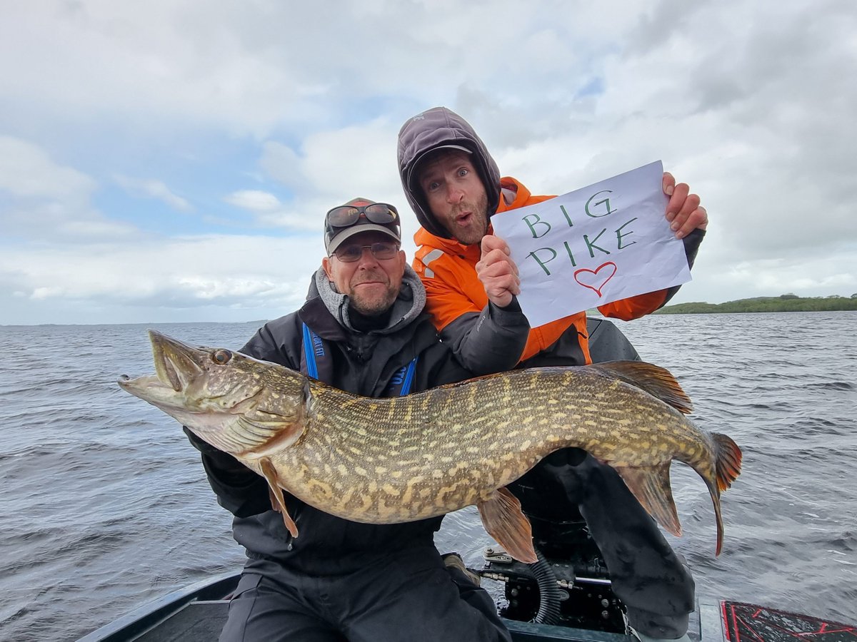 RapalaProguide's tweet image. Coolt gäddfiske på Irland med Boom Shad, Peto och Haku 
Nytt blogginlägg av Micke Puhakka

Nyligen var jag till Irland och fiskade gädda med min gode vän Jean-Francois Marinot från Paris i Frankrike, och bra gick det! Vi hade v...... Läs mer rapalaproguide.se/2022/07/coolt-…