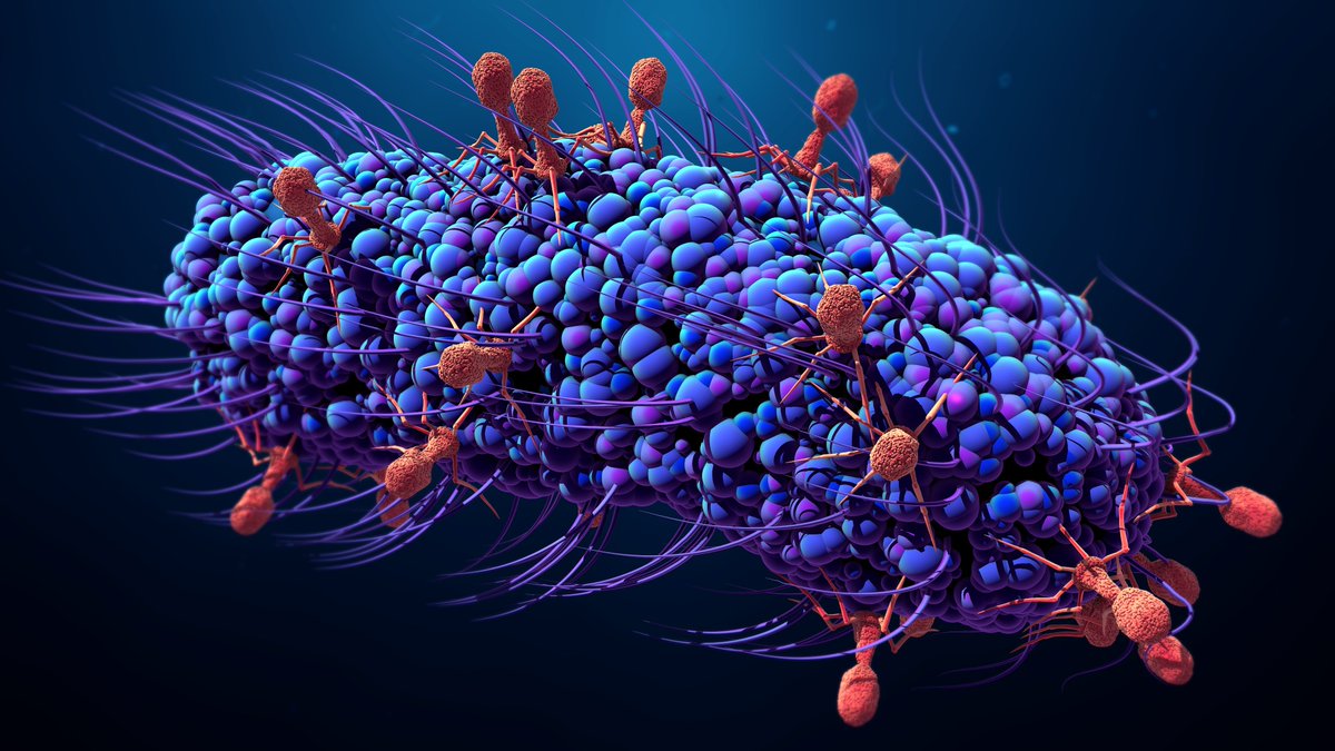 PhageSuisse's tweet photo. Save the date : 21 september Symposium Lausanne https://t.co/h8AC75Fu1P