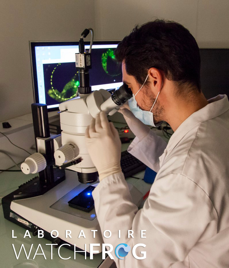 Altertox Academy (@altertoxacademy) on Twitter photo A new test method to identify endocrine disruptors developed by <a href="/WatchFrog/">Labo Watchfrog</a> was validated at international level by <a href="/OECD_ENV/">OECD Environment</a>.
#3Rs #NAMs #chemicalsafety
prnewswire.com/news-releases/… A new test method to identify endocrine disruptors developed by <a href="/WatchFrog/">Labo Watchfrog</a> was validated at international level by <a href="/OECD_ENV/">OECD Environment</a>.
#3Rs #NAMs #chemicalsafety
prnewswire.com/news-releases/…