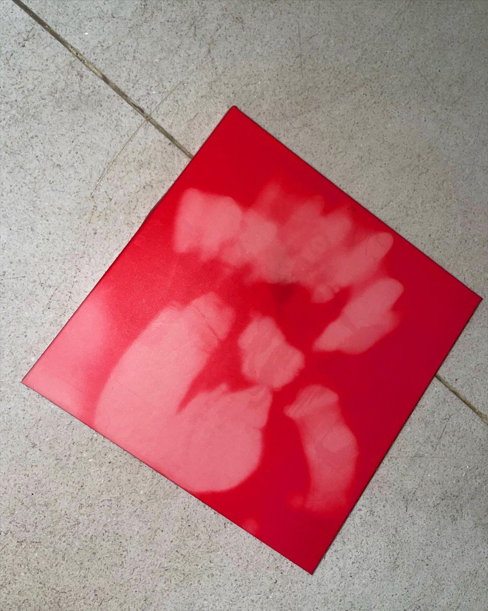 ᴅᴘʀ ʟɪᴠᴇ tweet media