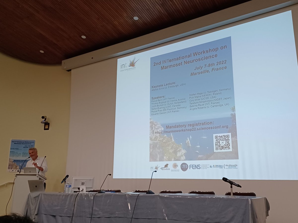 Alessandro Zanini tweet media