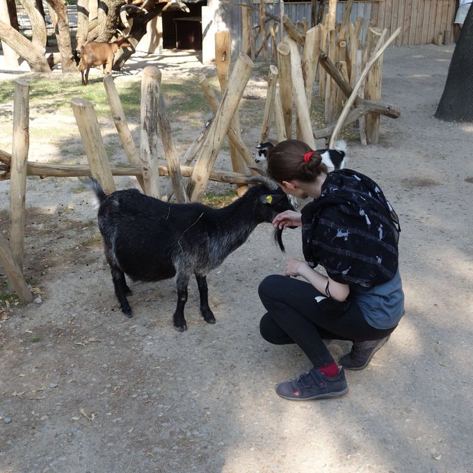 Me petting a curious black goat.