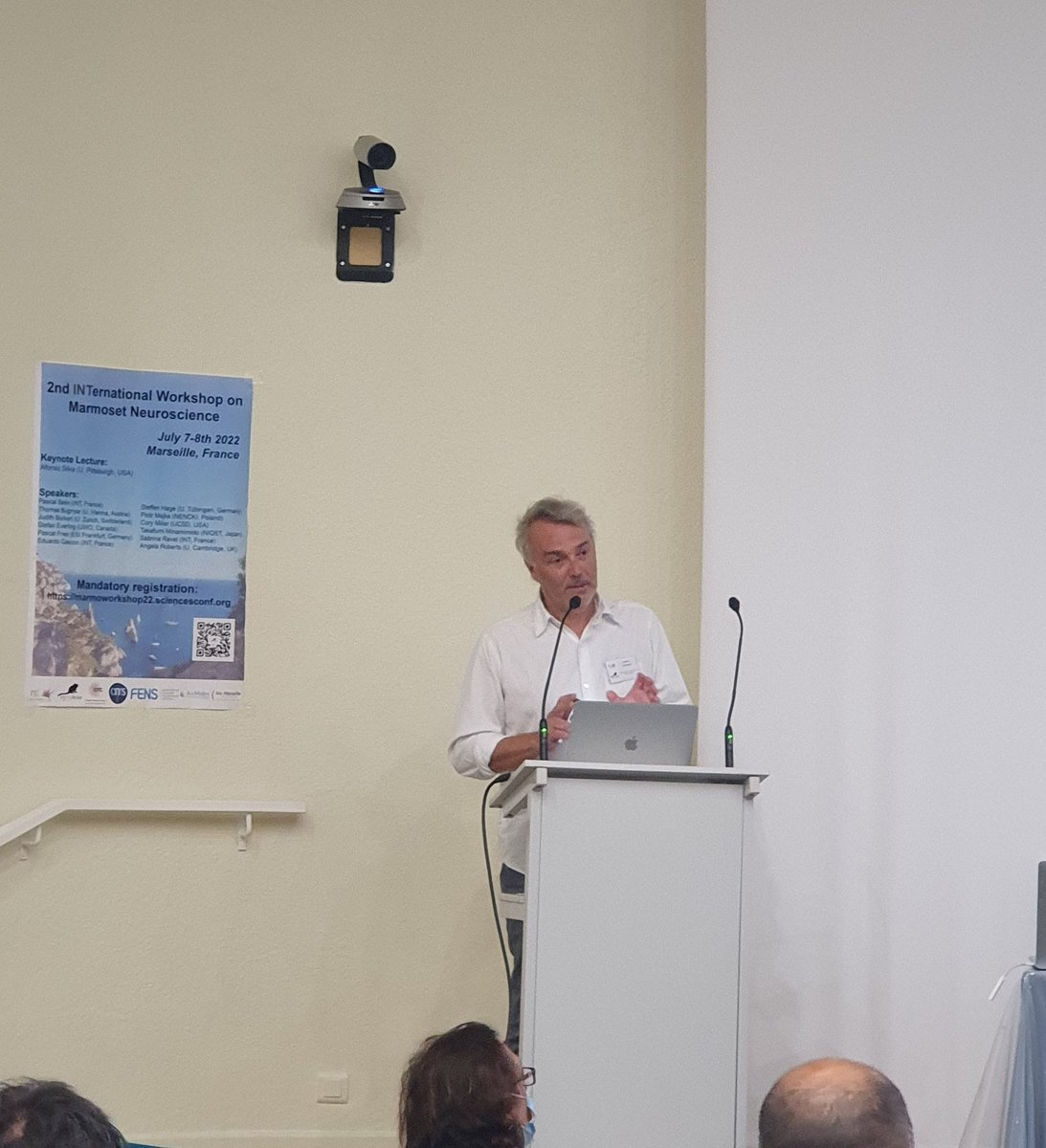 INT Marmobrain tweet media