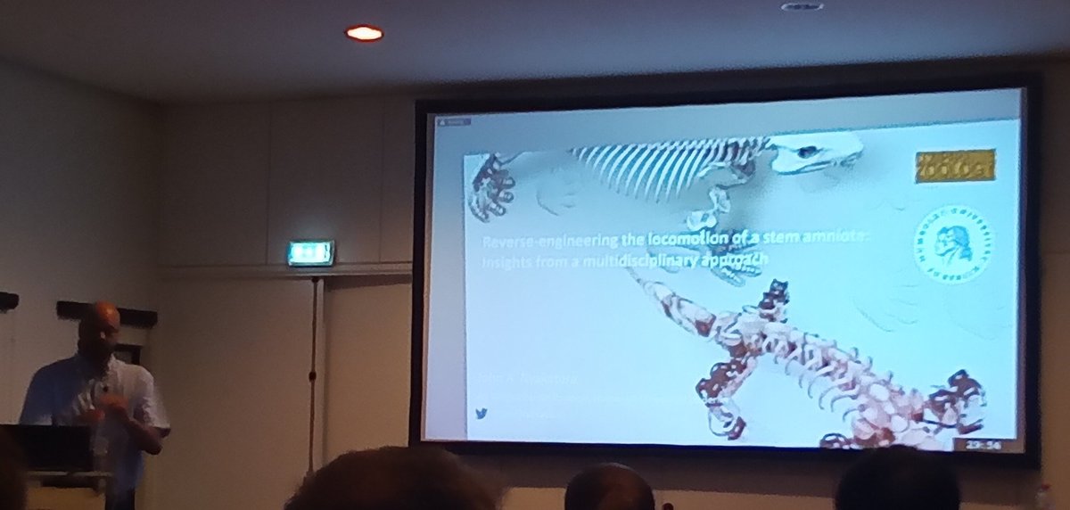 palaeotheoryum's tweet photo. @JohnNyakatura gets day 2 of #MusclesAndMotors at #SEB2022 underway with his talk on the multidisciplinary study of Orobates, a stem-amniote from the Permian, using #anatomy #biomechanics &amp; #Robotics - fascinating study at #SEBconference 
Read more here: https://t.co/9j3D1EBvB3 https://t.co/DaUDVmSipL