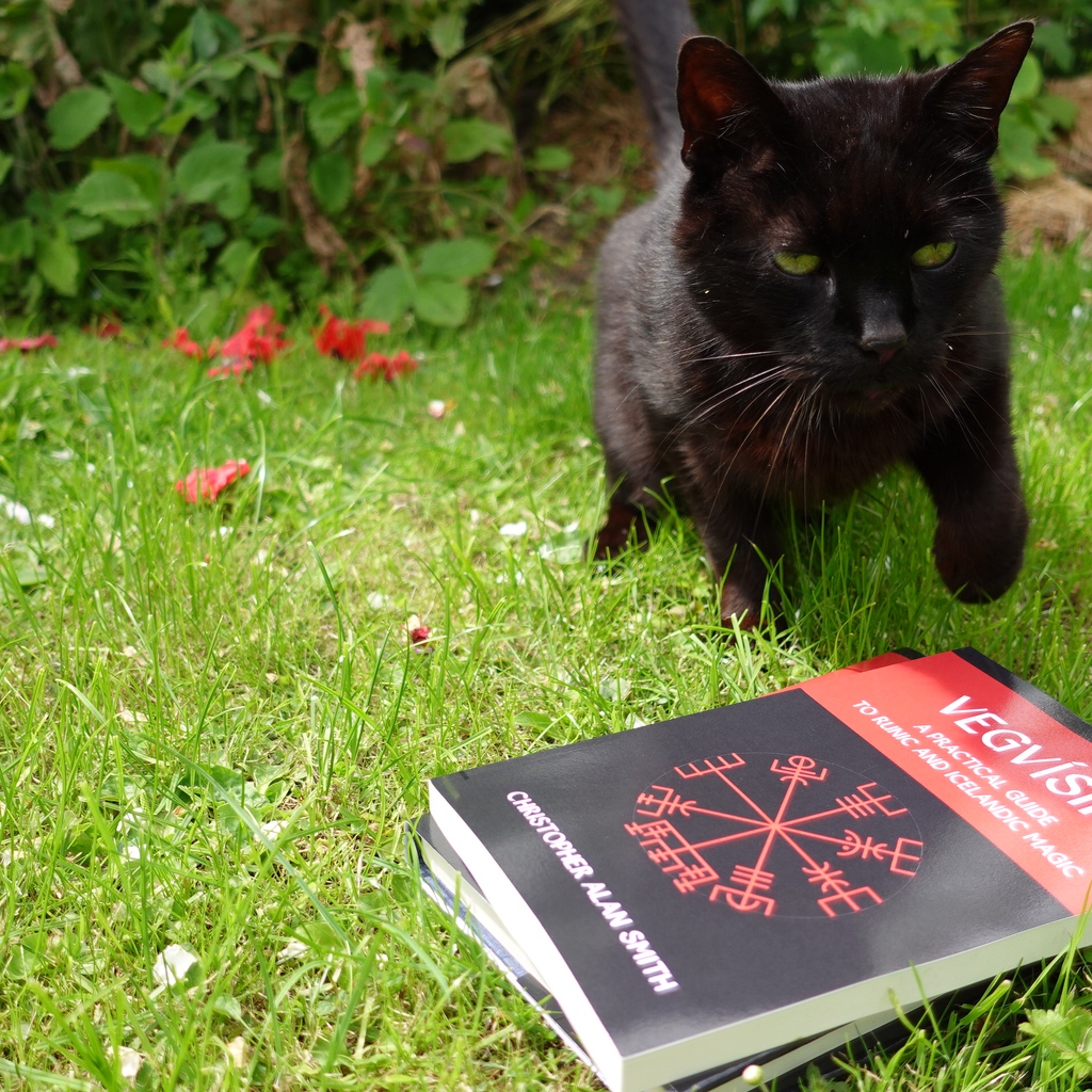 avalonia's tweet image. Trying to photograph Christopher Alan Smith's new book Vegvisir is a challenge when the cats feel they should get all the attention.  Here is the gorgeous Zen Cat, a semi-feral being, leaping over the books.  We had to take a feline break.

#casmith #vegvisir #runicmagic