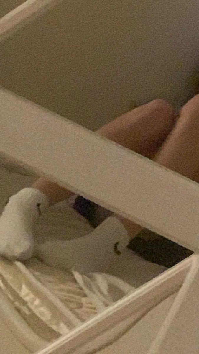 ᵖᵉᵃᶜʰ tweet media