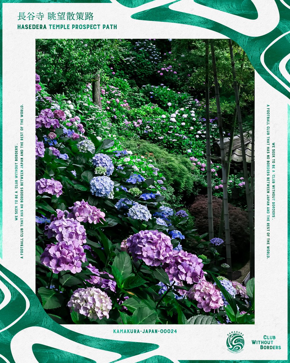 kamakura_inter's tweet photo. #NFT コンテンツ「#鎌倉 デジタルコレクション」、紫陽花シリーズの第1弾として「長谷寺 眺望散策路」が登場🟢

限定1枚、FiNANCiE @financie_jp 鎌倉インテルトークン保有者限定でご購入いただけます！

👉詳細はこちら
https://t.co/lzIZQAuUBB

#鎌倉インテル 
#clubwithoutborders
#FiNANCiE https://t.co/L2clMz0ySD