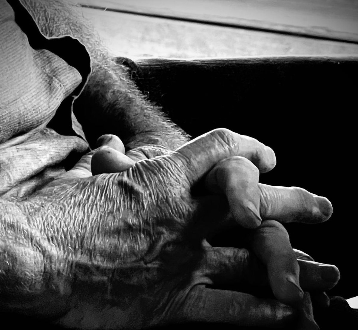 JustAFanPhoto's tweet photo. Photographers: Show me your hands. #handchallenge https://t.co/Y9uzZBMPYa