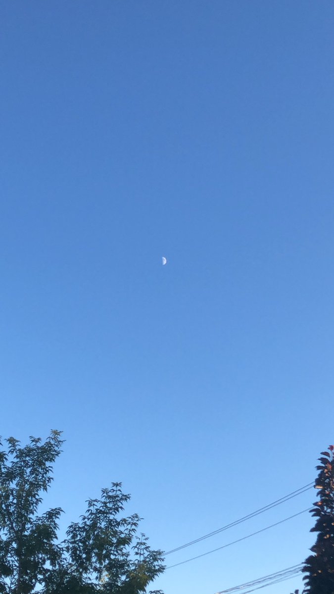 mikebayrak's tweet photo. What an absolutely perfect evening here in old Edmonton #yeg #deckbeer #decktunes https://t.co/mfHBKOmD7s