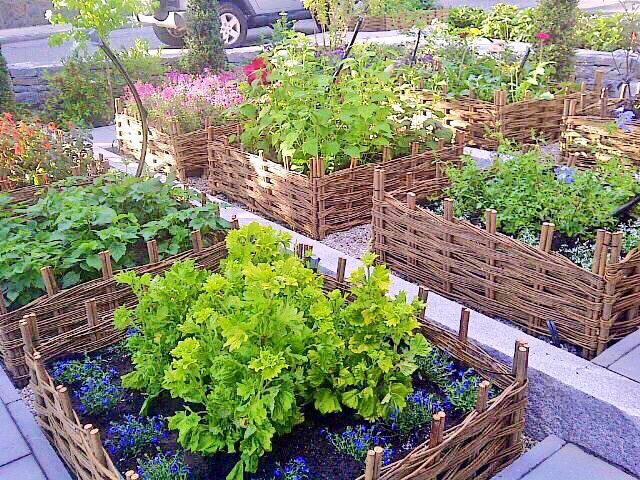 Busy #weaving  orders for our willow raised beds, standard sizes 0.5-3m long x 1m wide with prices from £55.00.
We also frequently make    <a href="/OnlyBespokeUK/">Only Bespoke</a> hurdles to clad existing planters <a href="/SoilAssociation/">Soil Association</a> &amp; <a href="/handmadebritain/">Handmade in Britain</a> <a href="/MiltonKeynes_MK/">Milton Keynes City</a> #gardening #organic Tel: 0845 020 4225