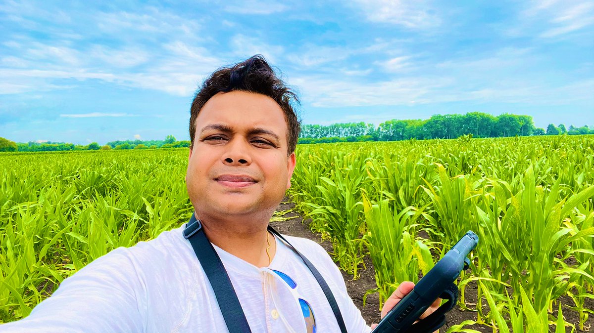 AviKarnPhD's tweet photo. Walking my double haploid #maize nursery to take notes and culling any outcrosses at the same time.
Its actually quite nice to be outside away from my computer though current heat undex is about 100 degrees Fahrenheit 😅 #plantbreeding #AgReliantGenetics https://t.co/r6f6BDYRa8