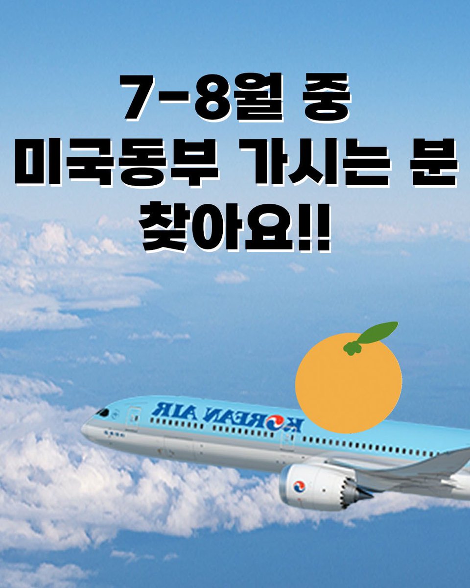 📣7-8월 중 미국동부 가시는 분을 찾습니다!📣

1멈 반려견 데뷔길에 동행해주실 이동봉사자님을 구합니다!!!!

수속은 귤엔터와 매니저님이 함께하니 걱정 말고 DM주세요~!!!