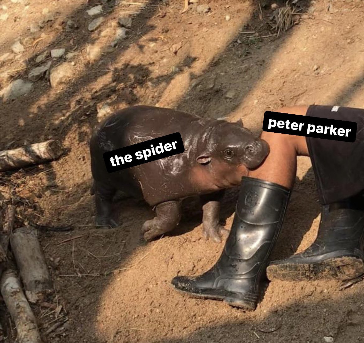 karen han (@karenyhan) on Twitter photo 