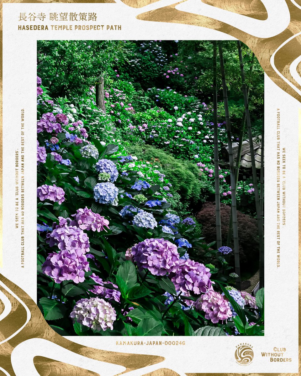 kamakura_inter's tweet photo. #NFT コンテンツ「#鎌倉 デジタルコレクション」、紫陽花シリーズ「長谷寺 眺望散策路」のゴールド版が登場🎉

限定1枚、FiNANCiE @financie_jp 鎌倉インテルトークンゴールドラウンジ（2,000トークン以上保有者）限定でご購入いただけます！

👉詳細はこちら
https://t.co/iwNBqqnGz0 https://t.co/saY8Ztb90j
