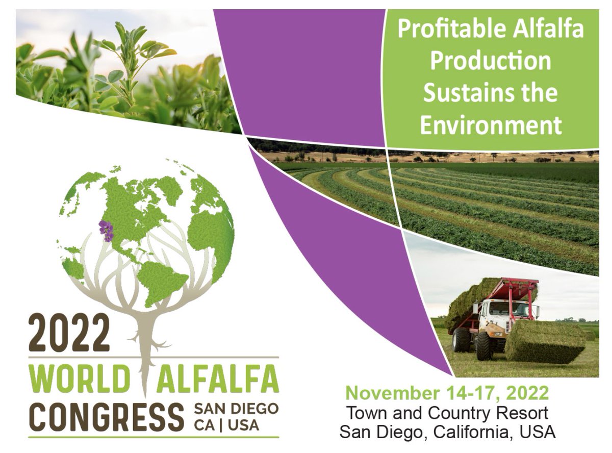 ForageBreeding's tweet photo. World Alfalfa Congress coming up in November 2022 in San Diego, CA. Abstract submission deadline coming up soon!

Stay tuned for the Genetics, Breeding and Genomics session 👀

https://t.co/C7gfKfYME3 https://t.co/B4mUD9fJbt
