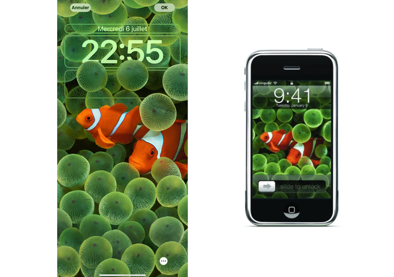 Fish Wallpaper for iPhone 11, Pro Max, X, 8, 7, 6 - Free Download on  3Wallpapers