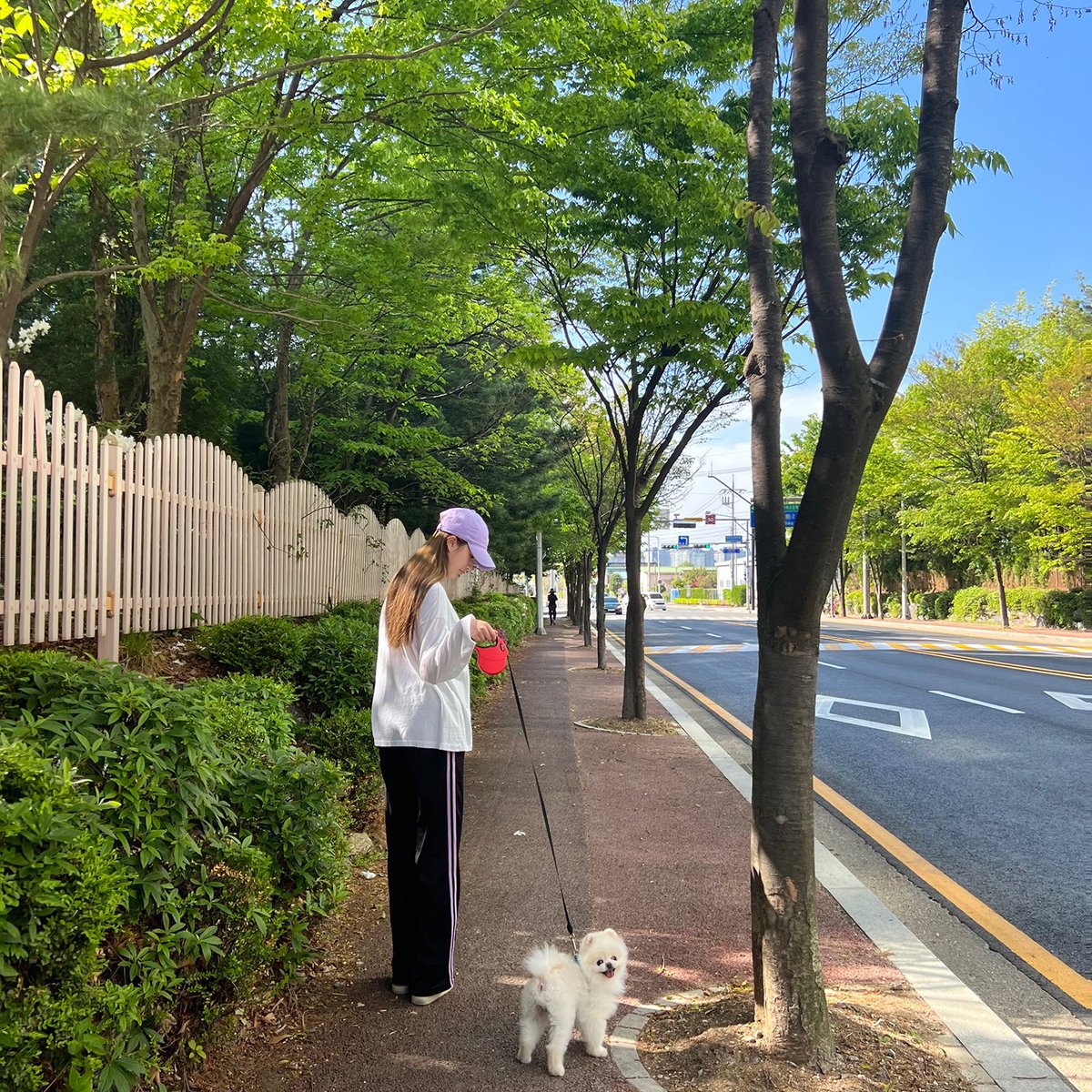 sunny and cloudy atmospheres suit my agenda to take ppori a stroll around. reduce the staying at dwelling boredom by watching lovely scenery surrounding, luckily the street is not to crowd as the usual so ppori could freely walk and play along, so sweet! 🐶🌿