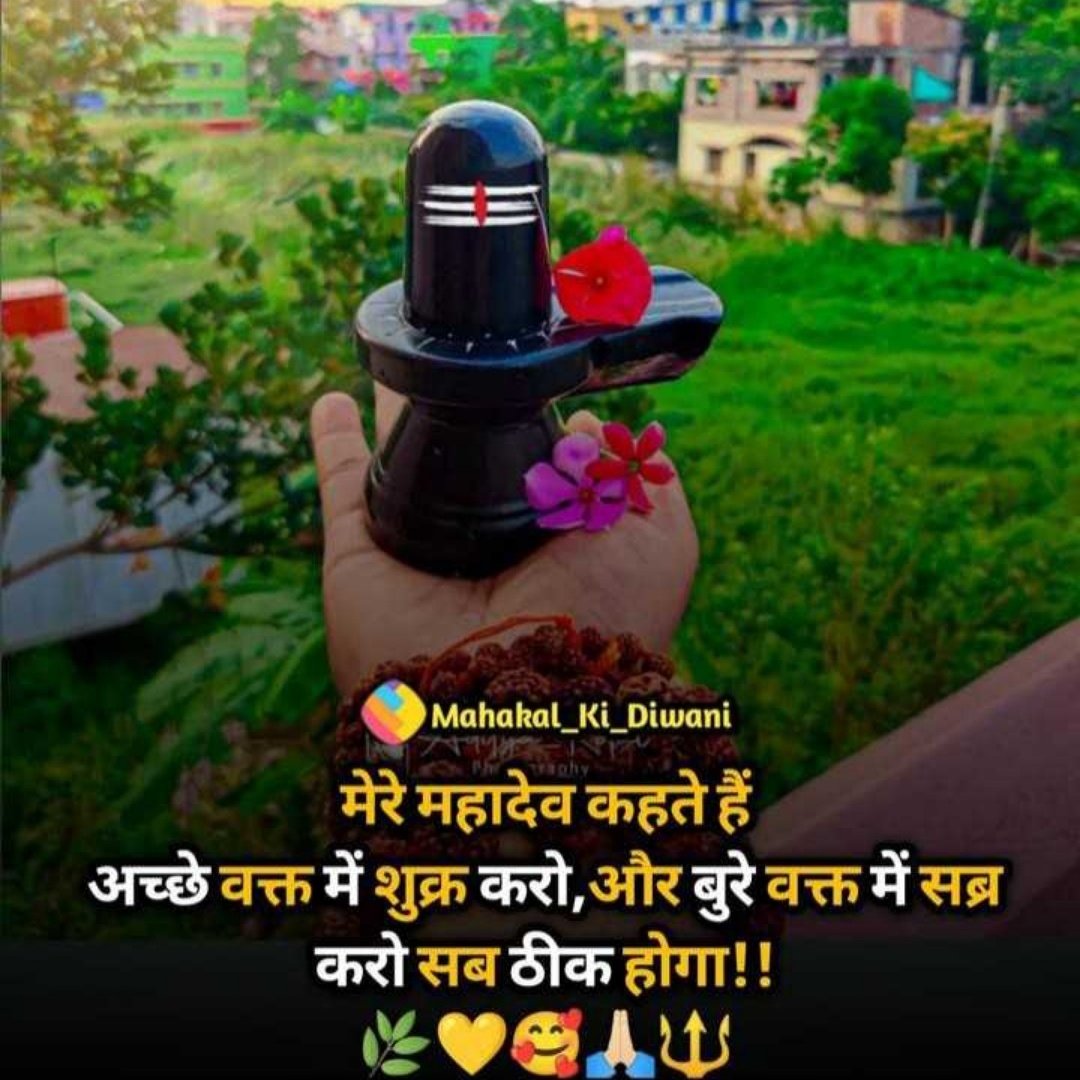 VikashyadavRaj3's tweet image. #NewProfilePic